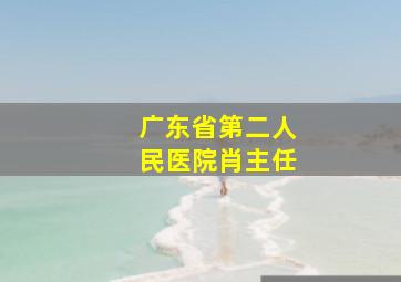 广东省第二人民医院肖主任