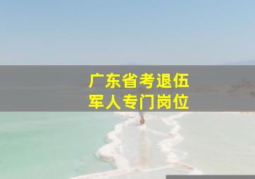 广东省考退伍军人专门岗位