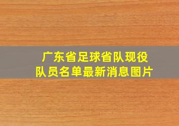 广东省足球省队现役队员名单最新消息图片