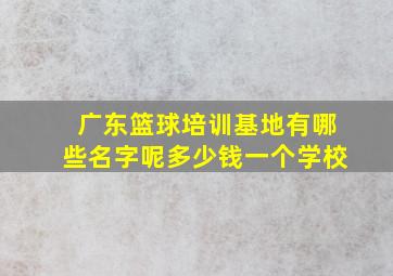 广东篮球培训基地有哪些名字呢多少钱一个学校