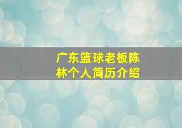 广东篮球老板陈林个人简历介绍