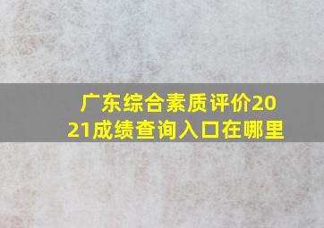 广东综合素质评价2021成绩查询入口在哪里