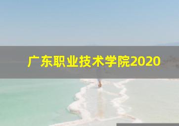 广东职业技术学院2020