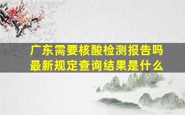 广东需要核酸检测报告吗最新规定查询结果是什么