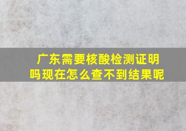 广东需要核酸检测证明吗现在怎么查不到结果呢