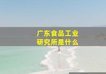 广东食品工业研究所是什么