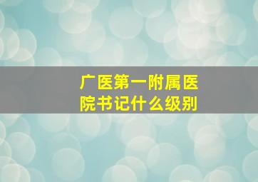 广医第一附属医院书记什么级别