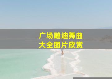 广场蹦迪舞曲大全图片欣赏