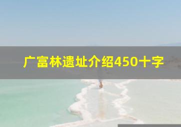 广富林遗址介绍450十字