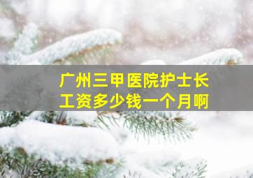 广州三甲医院护士长工资多少钱一个月啊