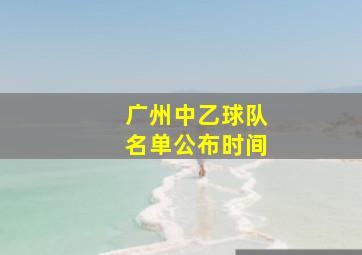 广州中乙球队名单公布时间