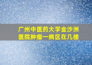 广州中医药大学金沙洲医院肿瘤一病区在几楼