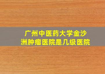 广州中医药大学金沙洲肿瘤医院是几级医院