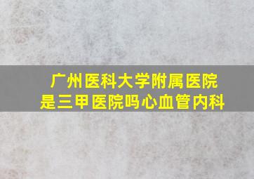 广州医科大学附属医院是三甲医院吗心血管内科