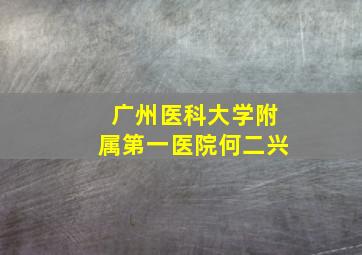 广州医科大学附属第一医院何二兴