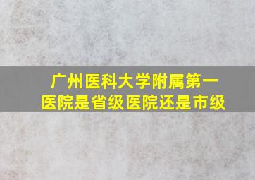 广州医科大学附属第一医院是省级医院还是市级