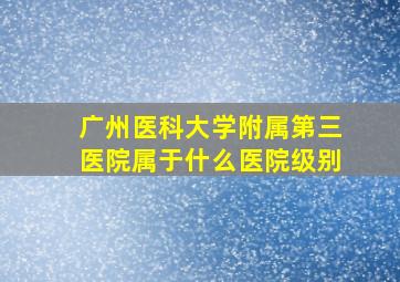 广州医科大学附属第三医院属于什么医院级别