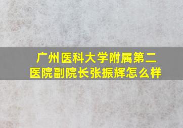 广州医科大学附属第二医院副院长张振辉怎么样