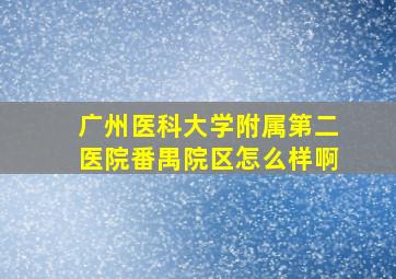 广州医科大学附属第二医院番禺院区怎么样啊