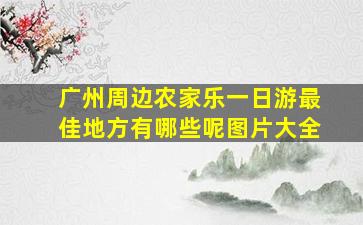 广州周边农家乐一日游最佳地方有哪些呢图片大全