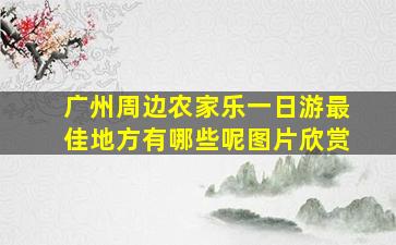 广州周边农家乐一日游最佳地方有哪些呢图片欣赏