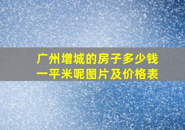 广州增城的房子多少钱一平米呢图片及价格表