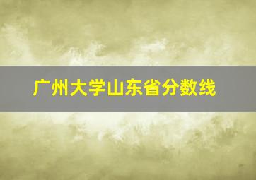 广州大学山东省分数线