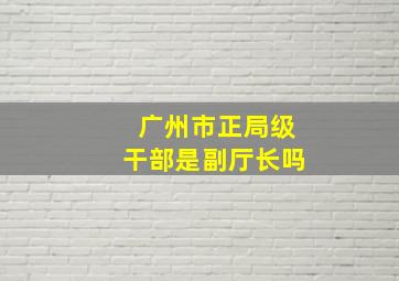 广州市正局级干部是副厅长吗