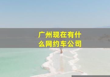 广州现在有什么网约车公司