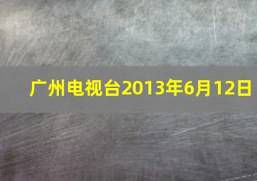 广州电视台2013年6月12日