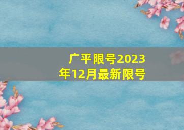 广平限号2023年12月最新限号