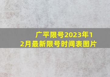 广平限号2023年12月最新限号时间表图片