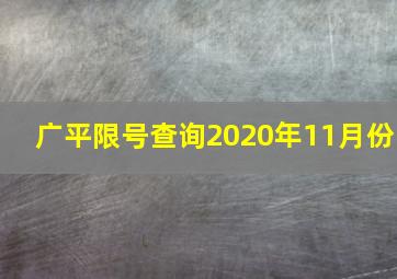 广平限号查询2020年11月份