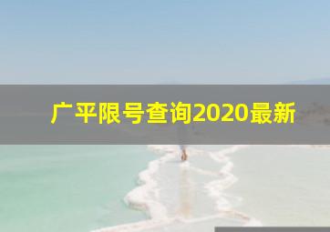 广平限号查询2020最新