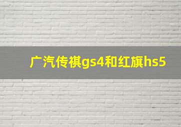 广汽传祺gs4和红旗hs5