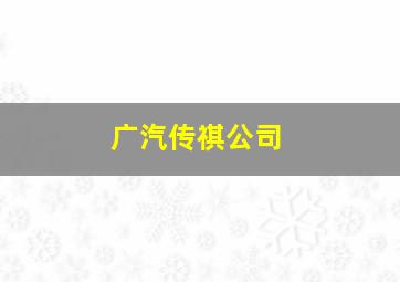 广汽传祺公司