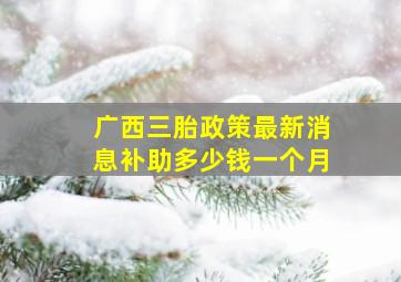 广西三胎政策最新消息补助多少钱一个月