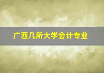 广西几所大学会计专业