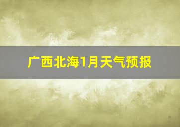 广西北海1月天气预报