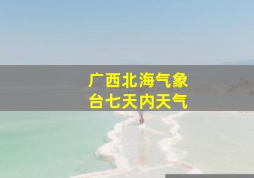 广西北海气象台七天内天气