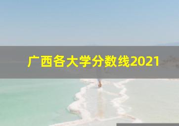 广西各大学分数线2021