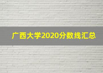 广西大学2020分数线汇总