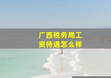 广西税务局工资待遇怎么样