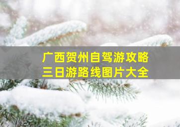 广西贺州自驾游攻略三日游路线图片大全