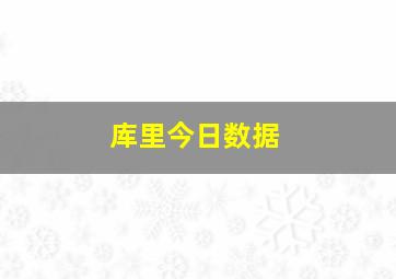 库里今日数据