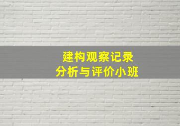 建构观察记录分析与评价小班