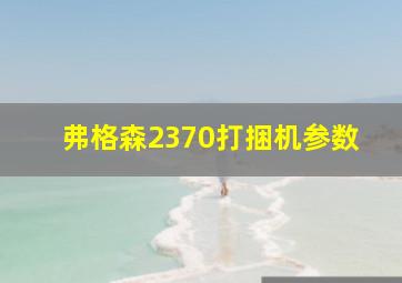 弗格森2370打捆机参数