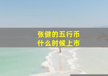 张健的五行币什么时候上市