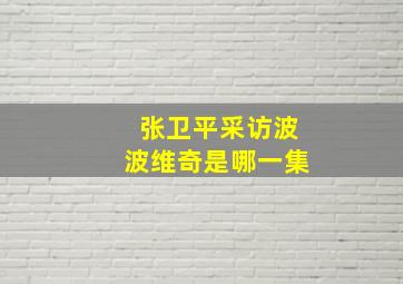 张卫平采访波波维奇是哪一集