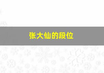 张大仙的段位